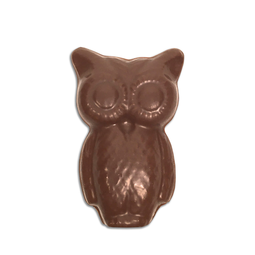 Heddie The Chocolate Post Owl
